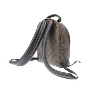 Louis Vuitton Springs Monogram Canvas Daypack Reverse Backpack Palm